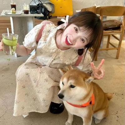 水星领航员第一季